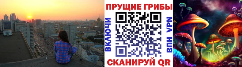 мега tor  Судогда  Псилоцибиновые грибы Magic Shrooms 