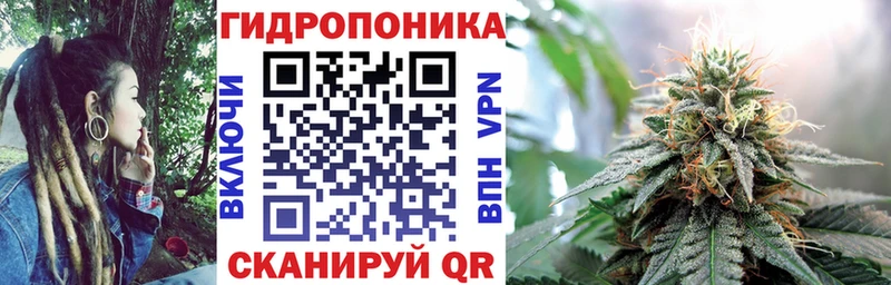Бошки Шишки Bruce Banner  ссылка на мегу как зайти  Судогда 